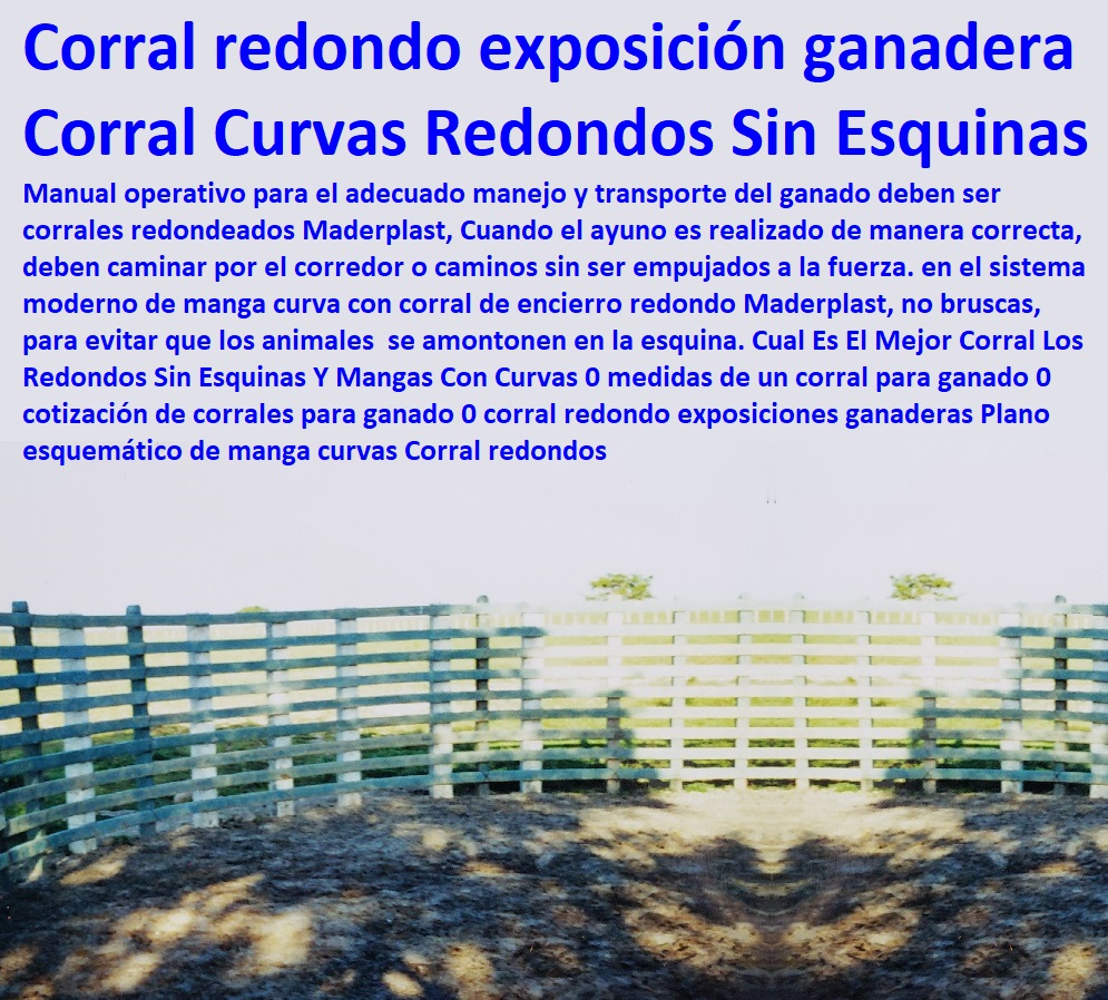 Cual Es El Mejor Corral Los Redondos Sin Esquinas Y Mangas Con Curvas 0 medidas de un corral para ganado 0 cotización de corrales para ganado 0 corral redondo exposiciones ganaderas Plano esquemático de manga curvas Corral redondos Mangas De Coleo, Corral Caballerizas, Pesebreras De Caballos, Plaza Toros, Brete Ganadero, Apretaderos Embarcaderos, Postes Tablas, Polines Varetas, Mangas De Coleo, Horcones Madera Plástica, Corrales, Establos De Ganado, 